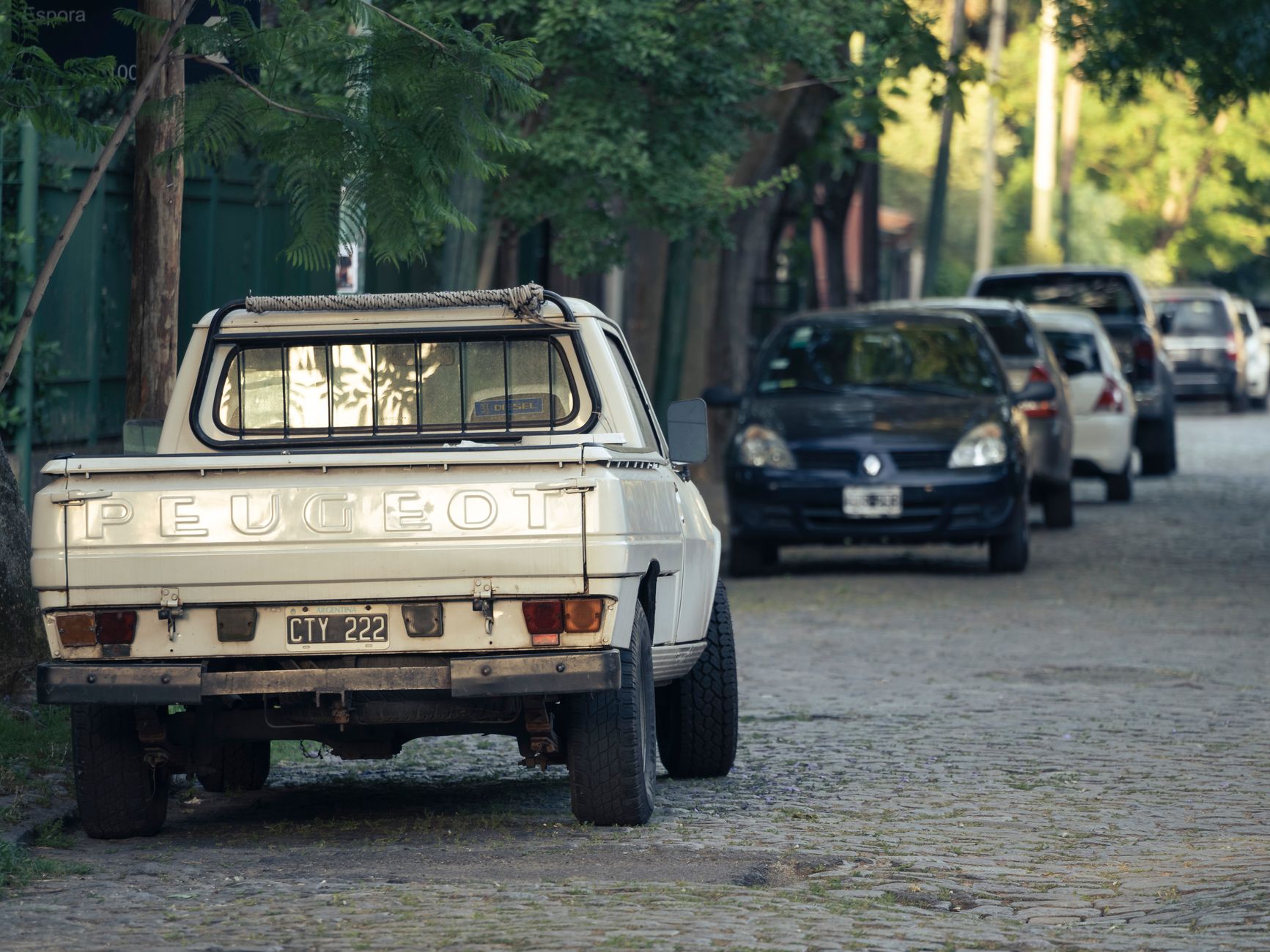 ¿El coche o el carro?