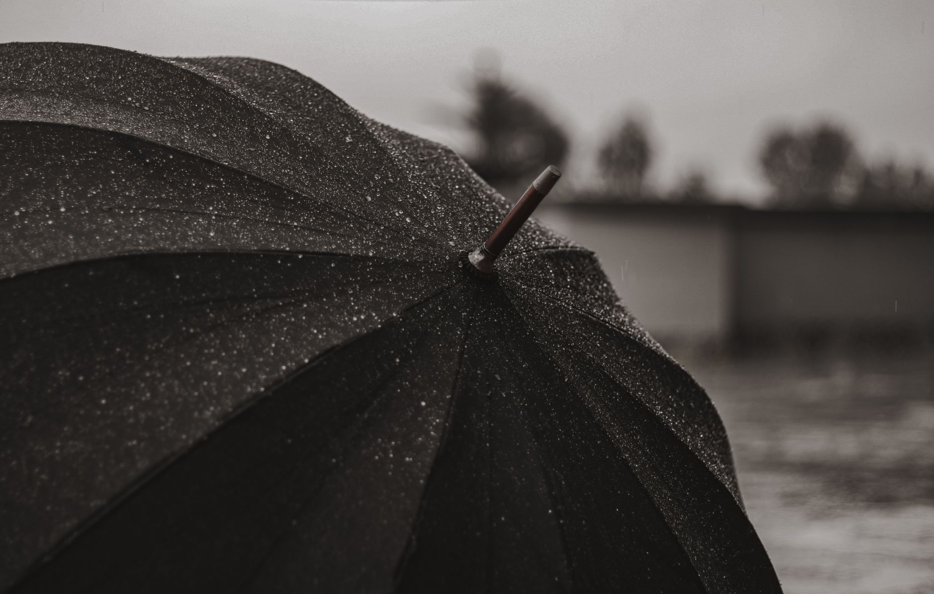 La tempesta e l'ombrello