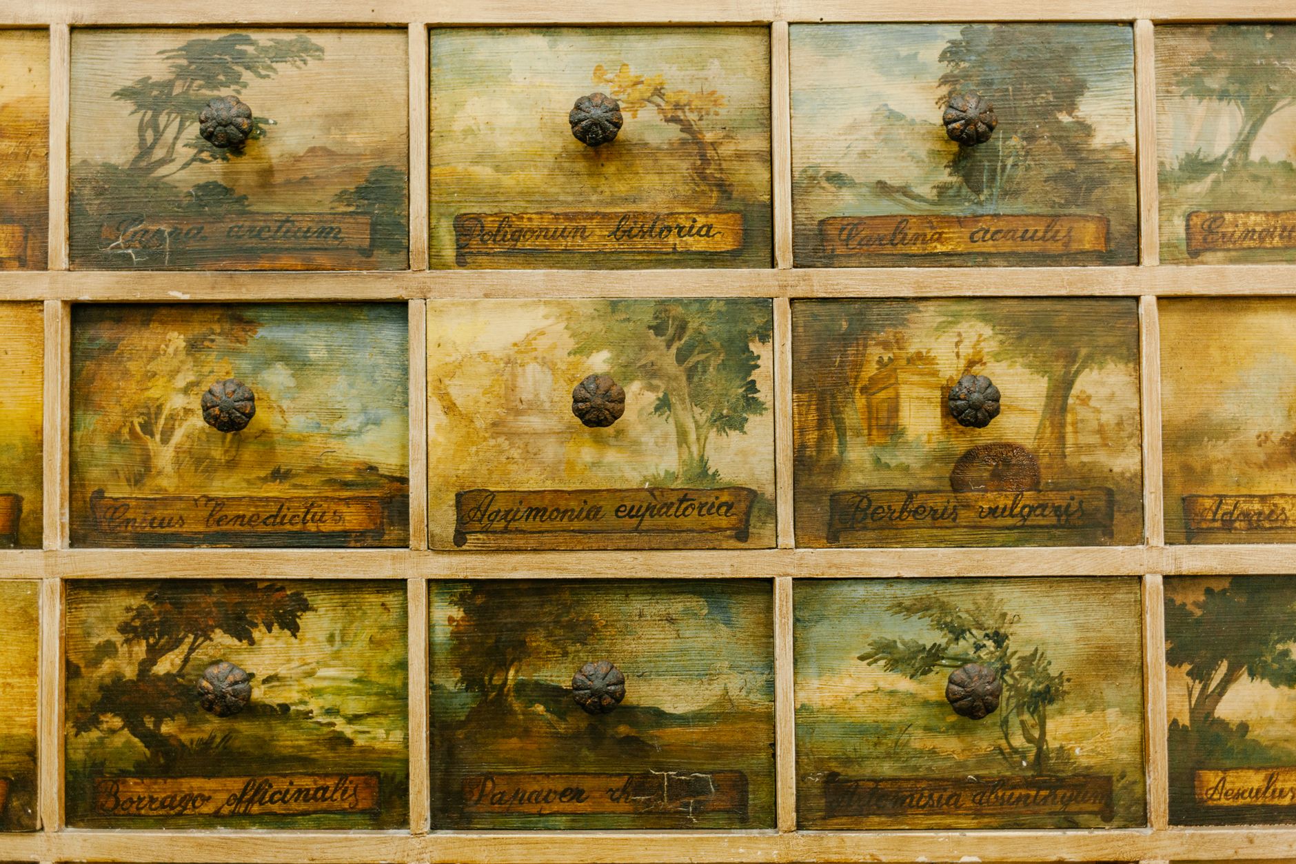 Le coffre du jardin