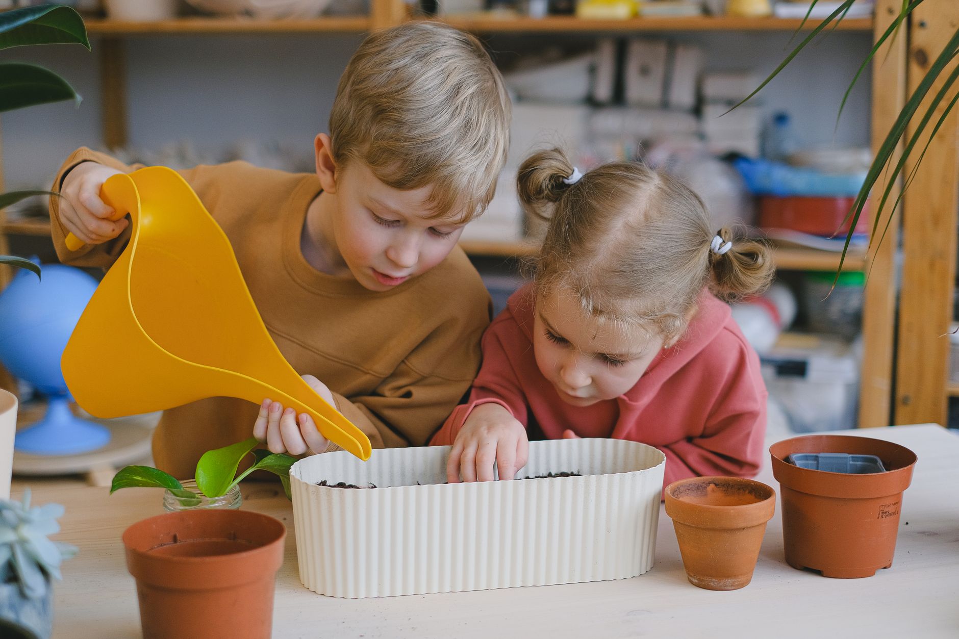 Le jardin de l'école
