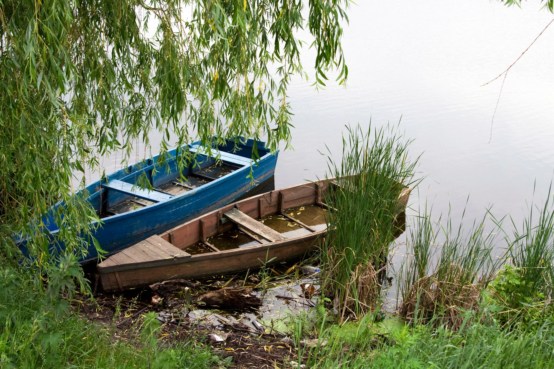 The Boat in the Garden
