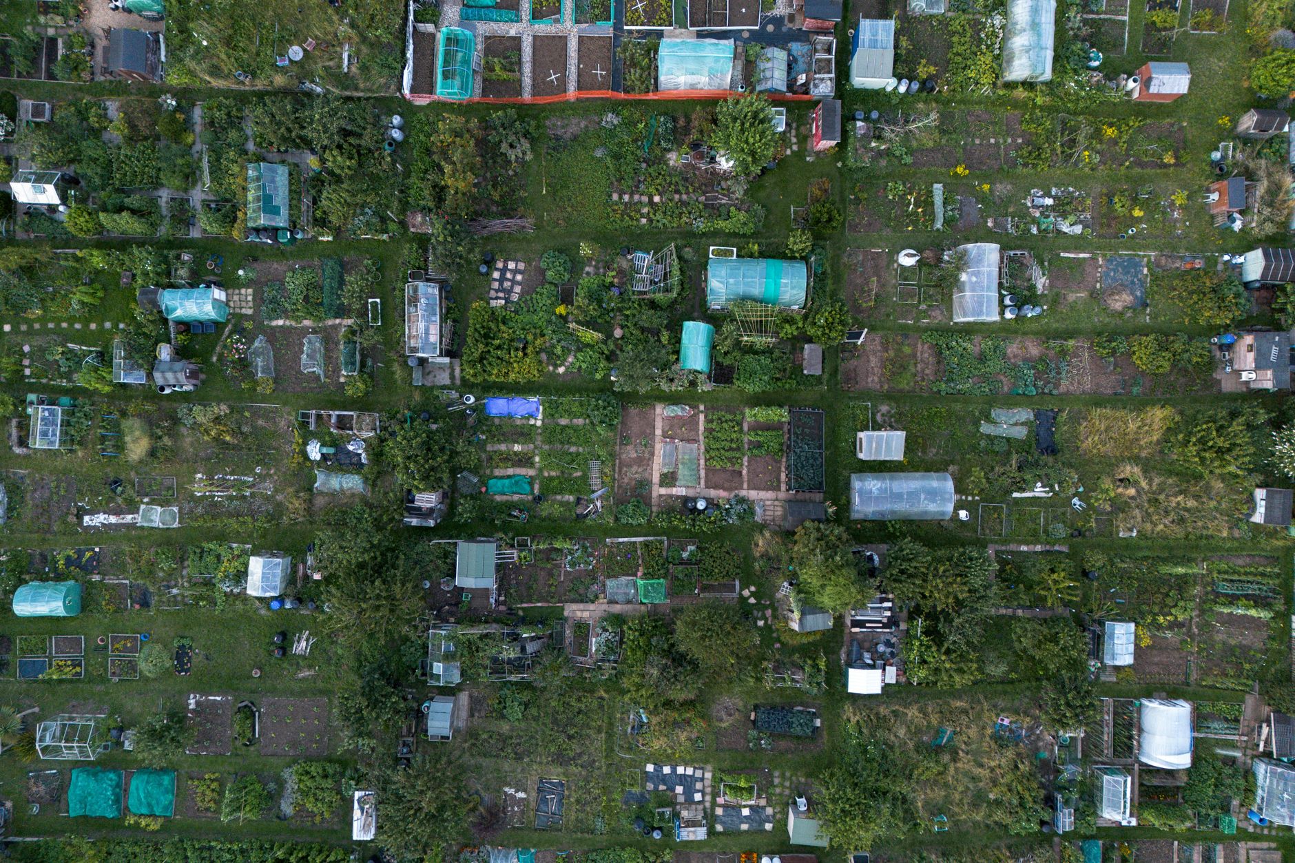 Two Gardens