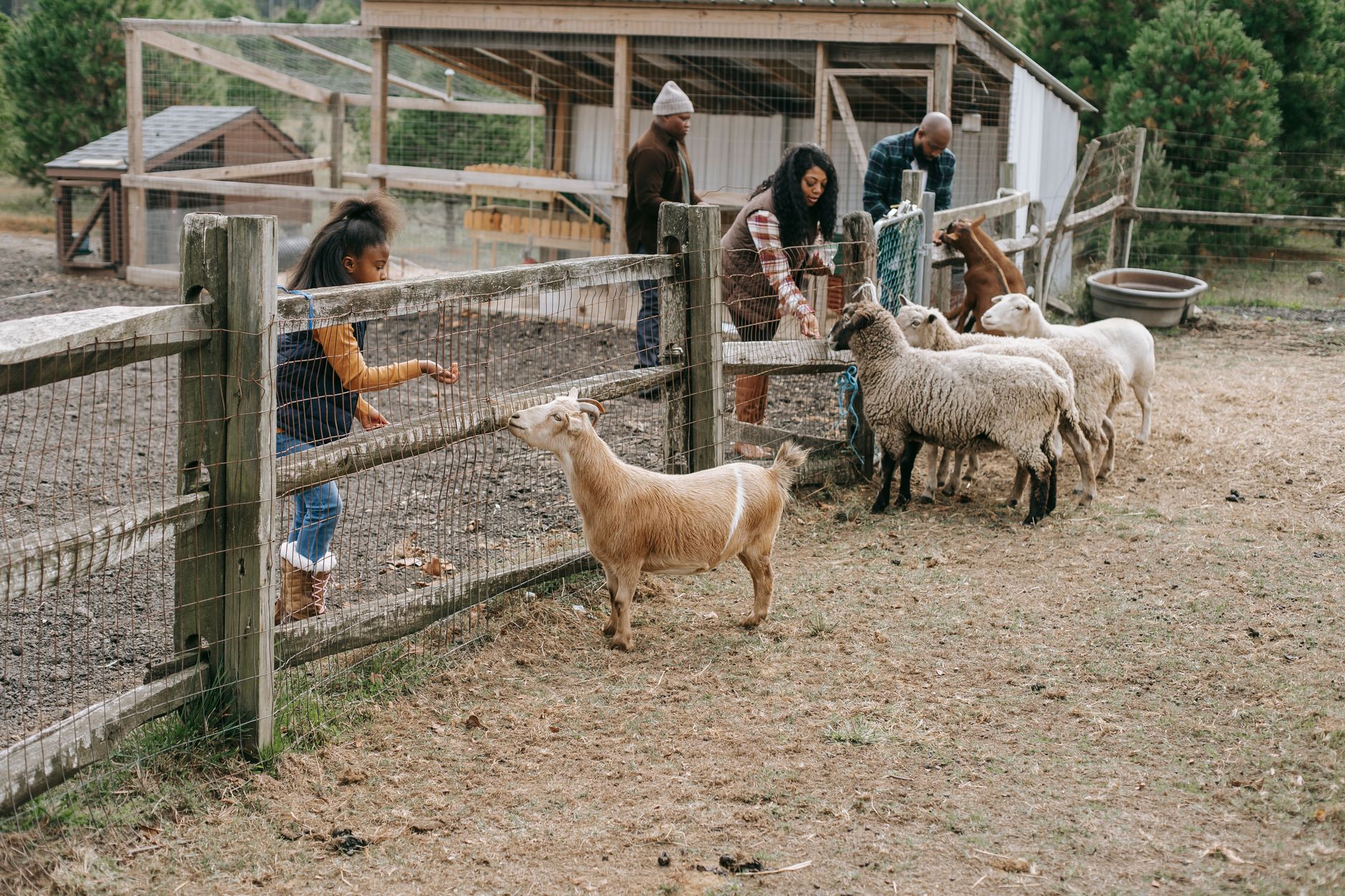 Un week-end à la ferme